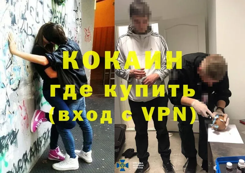 как найти закладки  Камышин  КОКАИН VHQ 